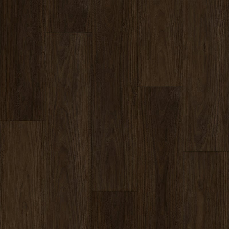 American Walnut