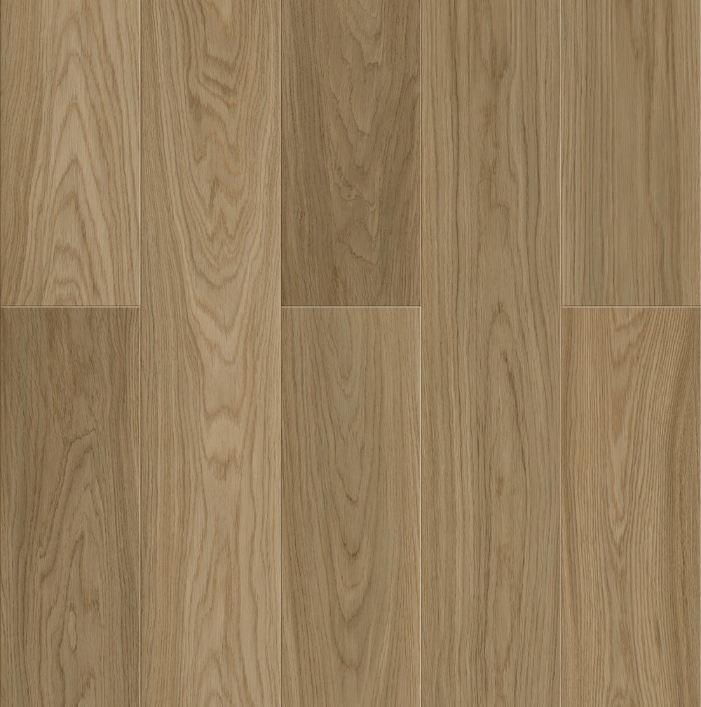 Celestial Oak