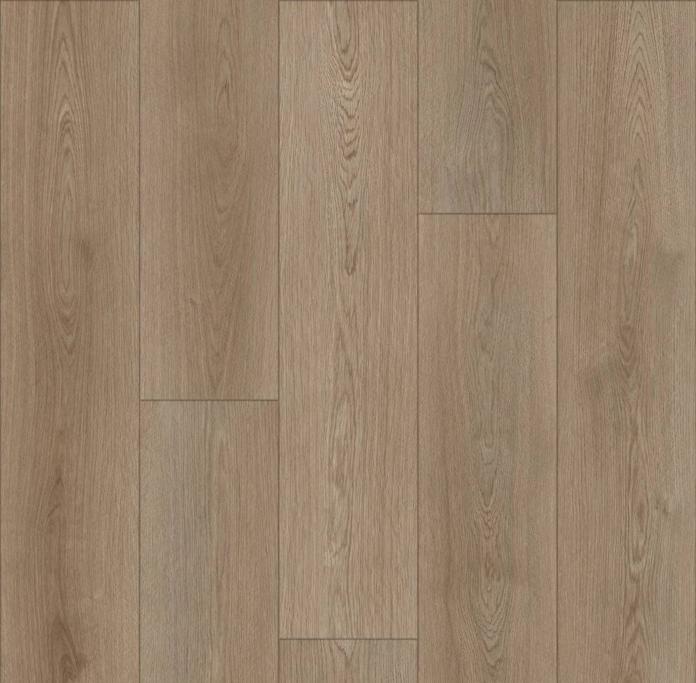Galaxy Oak