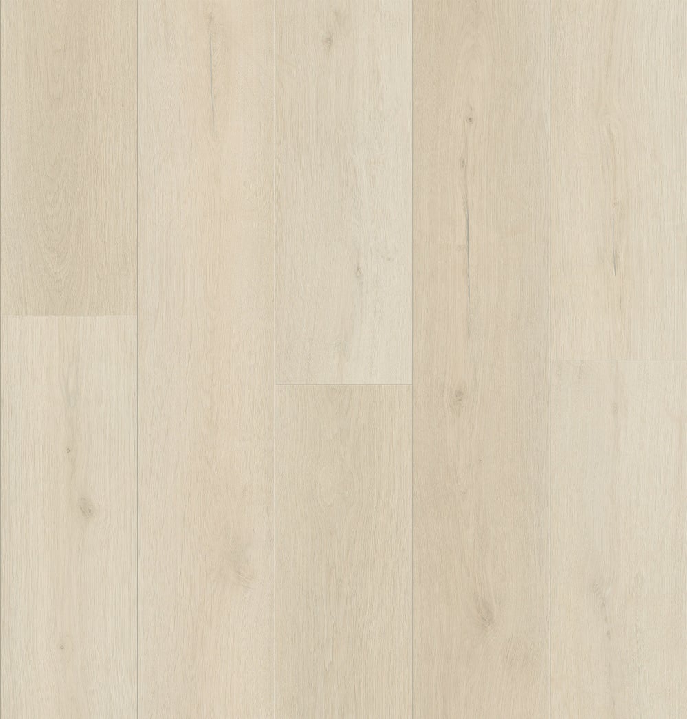 Interstellar Oak