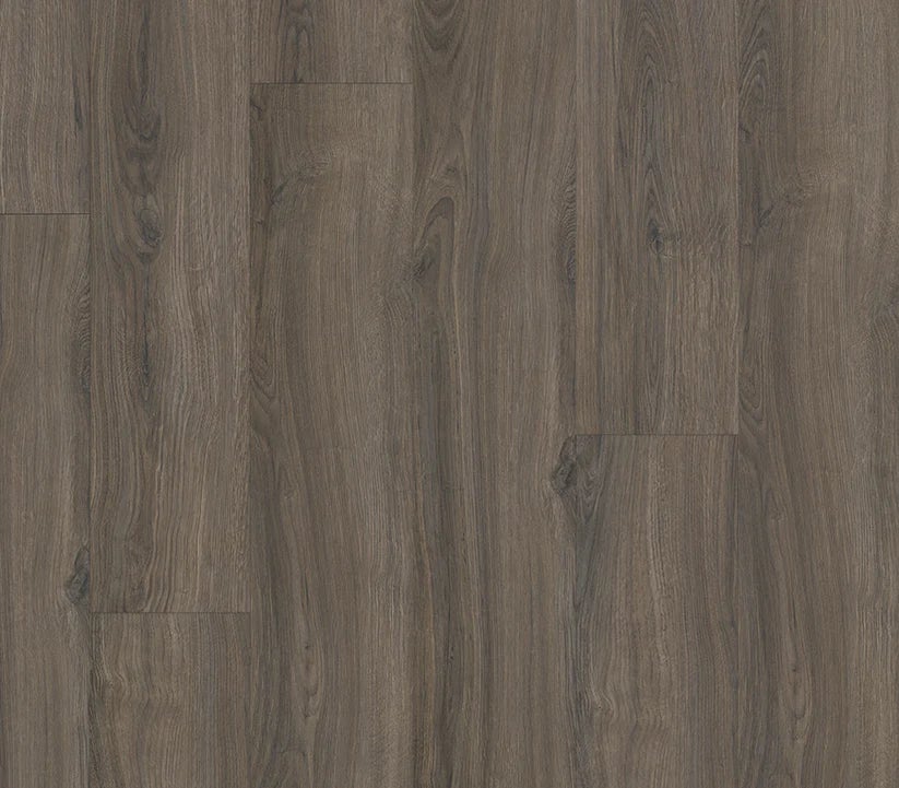 Nova Scotia Oak