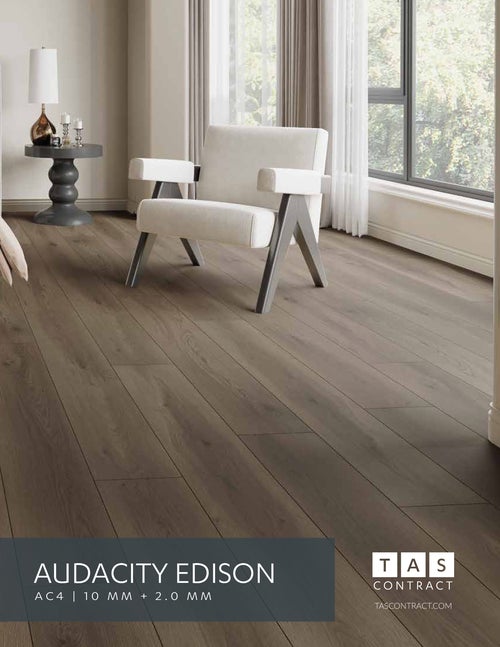 Audacity Edison thumbnail