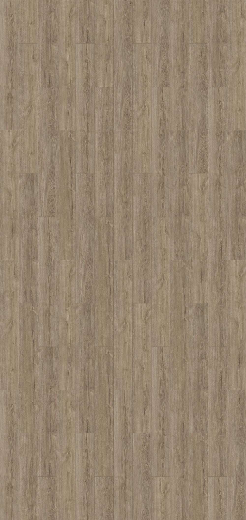 Turlock (Rowan Plank)