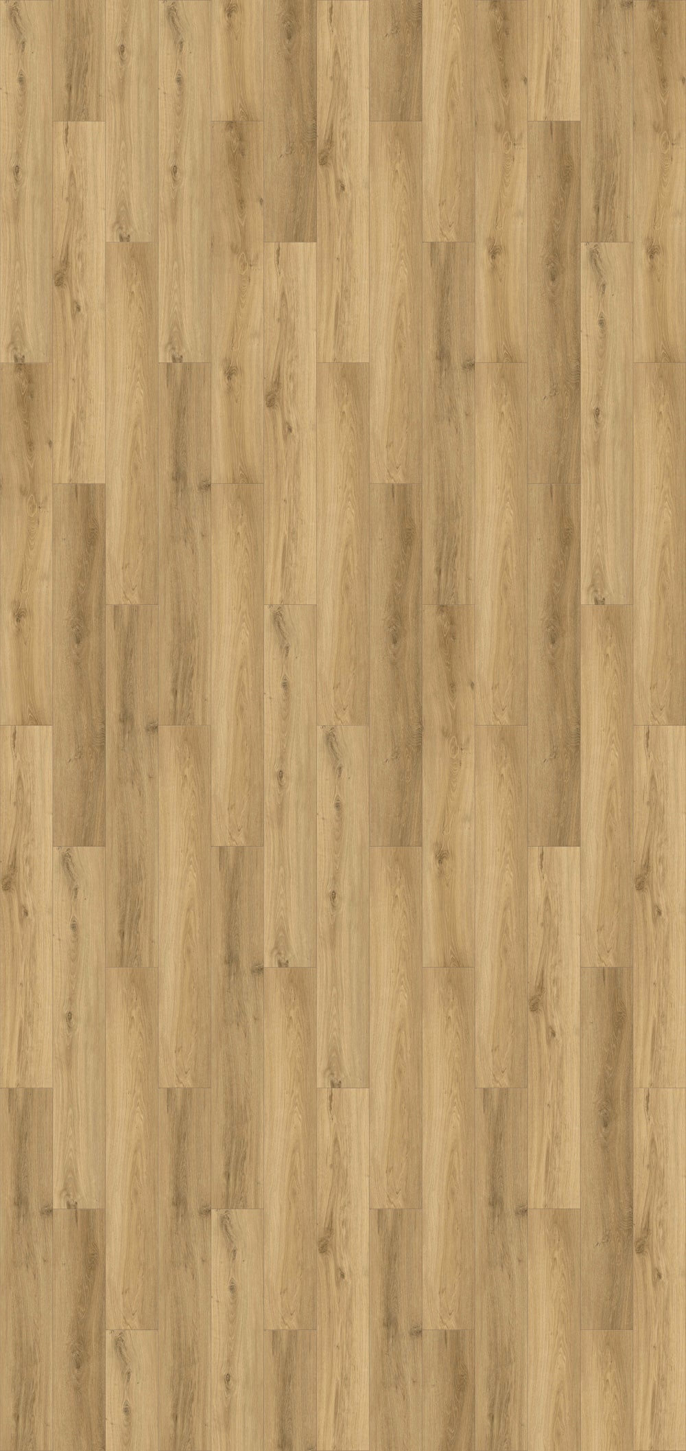 Vernon Plank (Wayne)