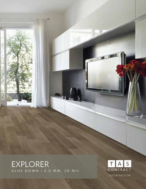 Explorer Collection thumbnail