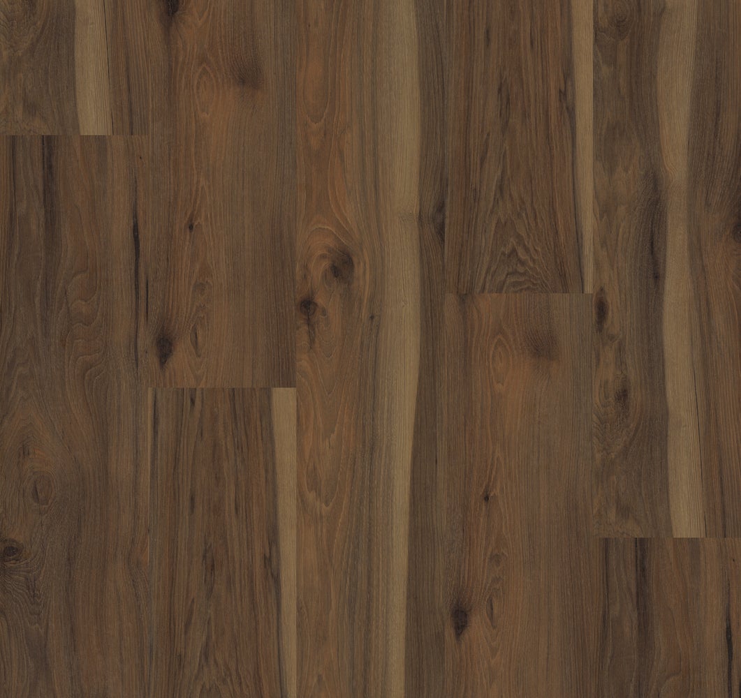 Pecan Hickory