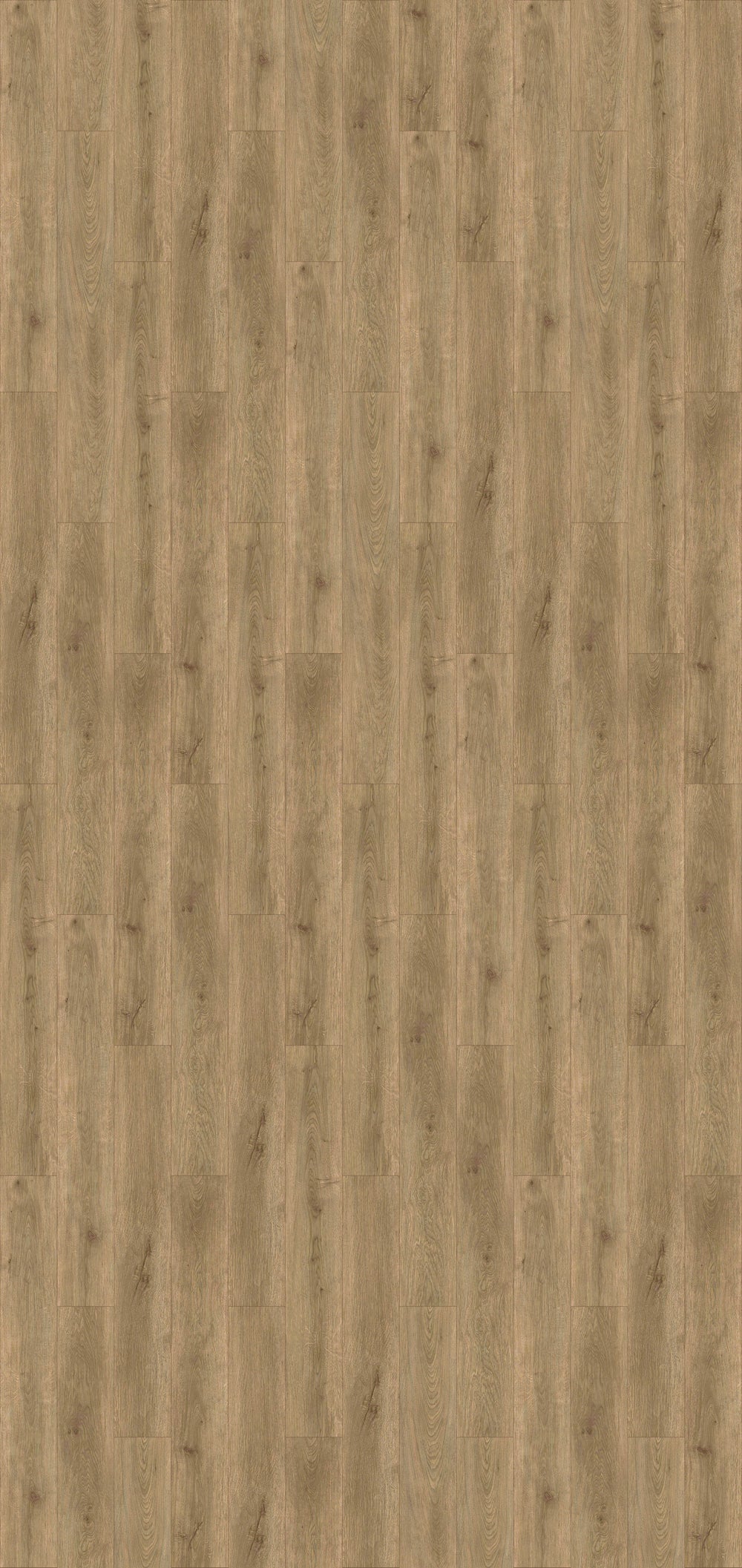 Tupelo (Saddle Plank | Amity)