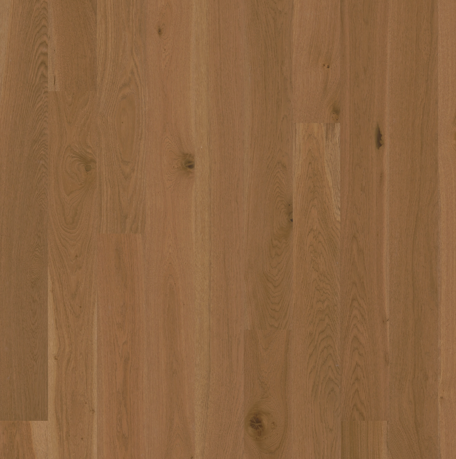 Oak Latte
